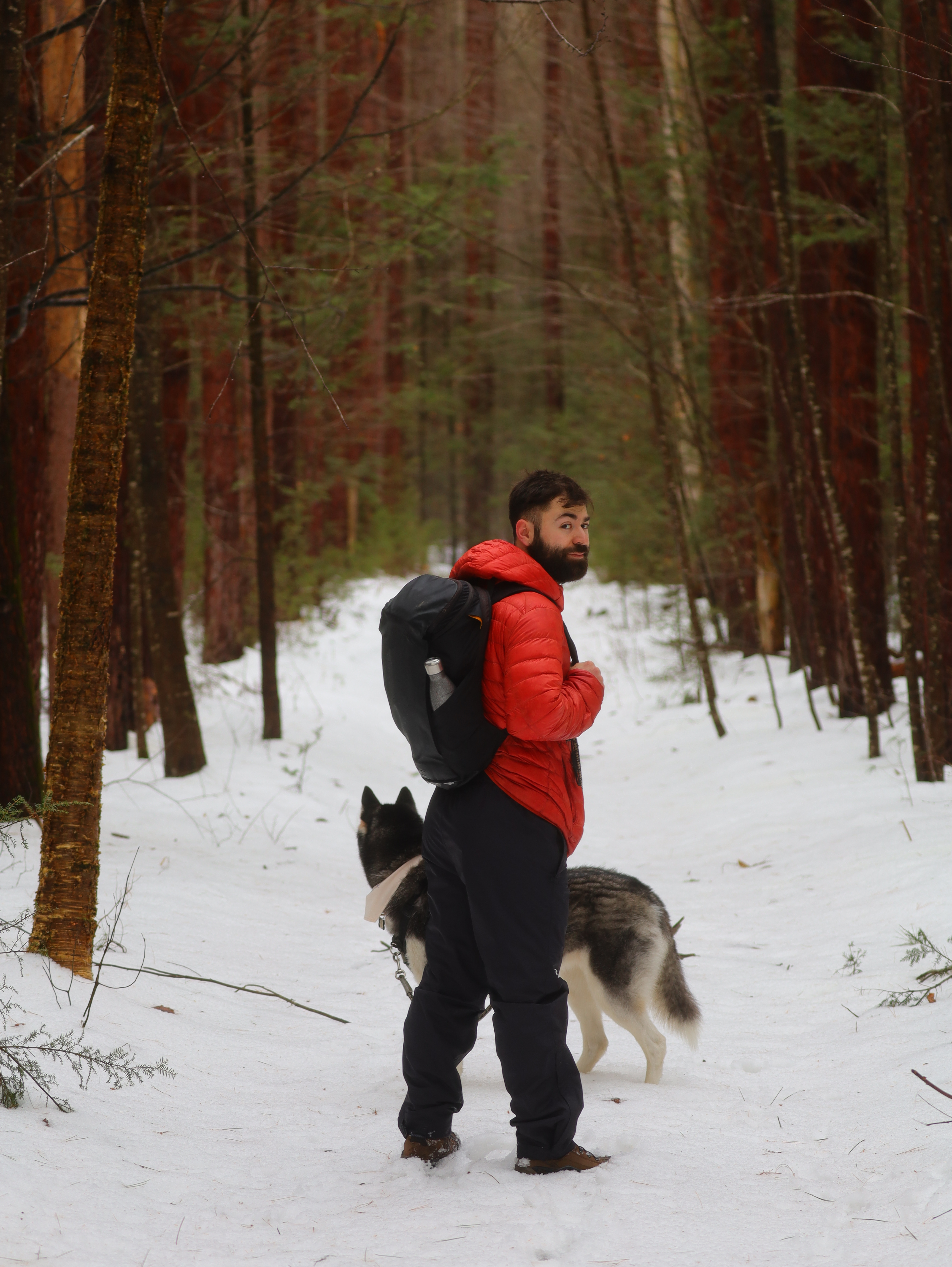 Man and dog in woods (this is the best one by far).