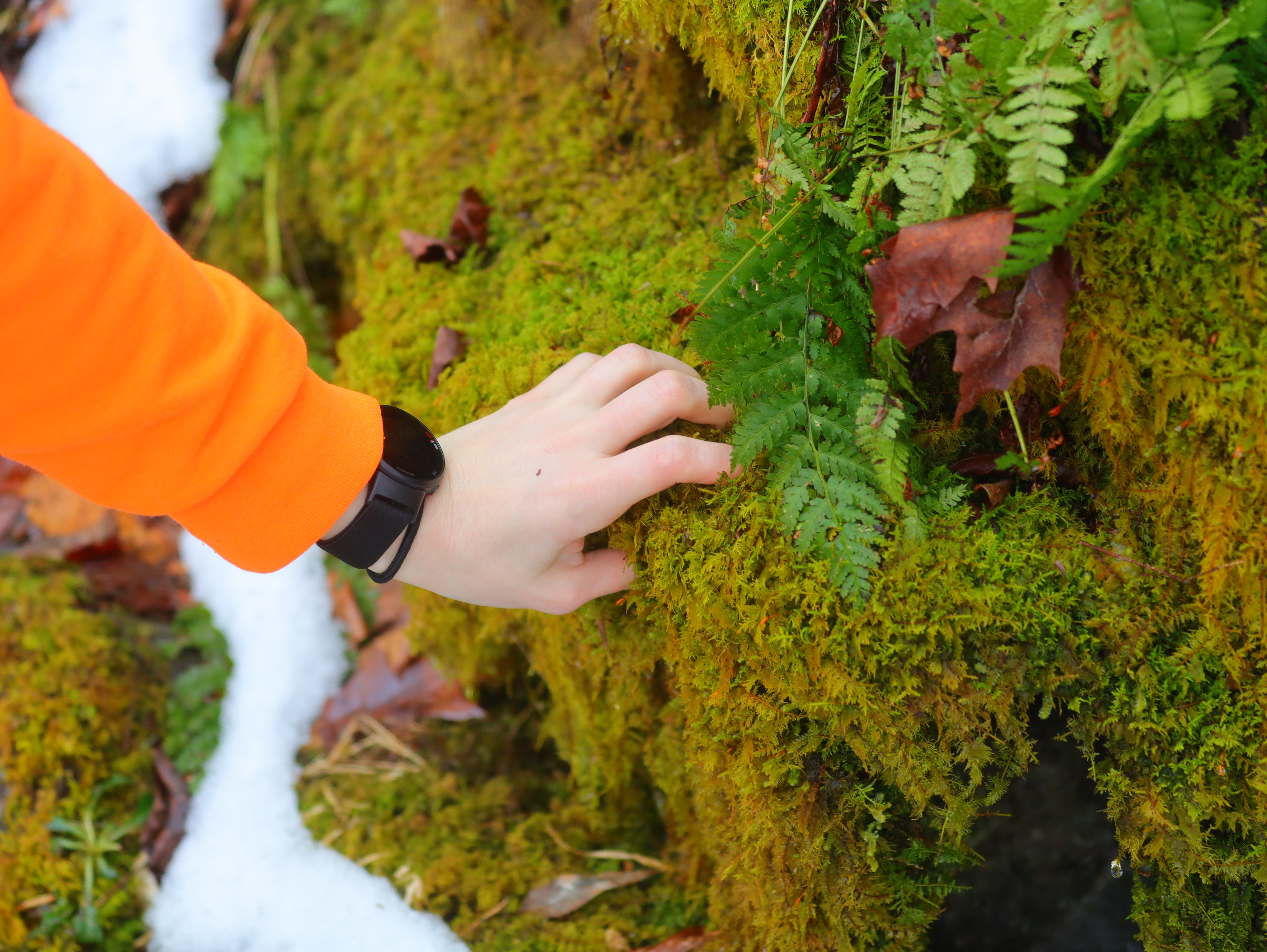 She touched grass confirmed.
