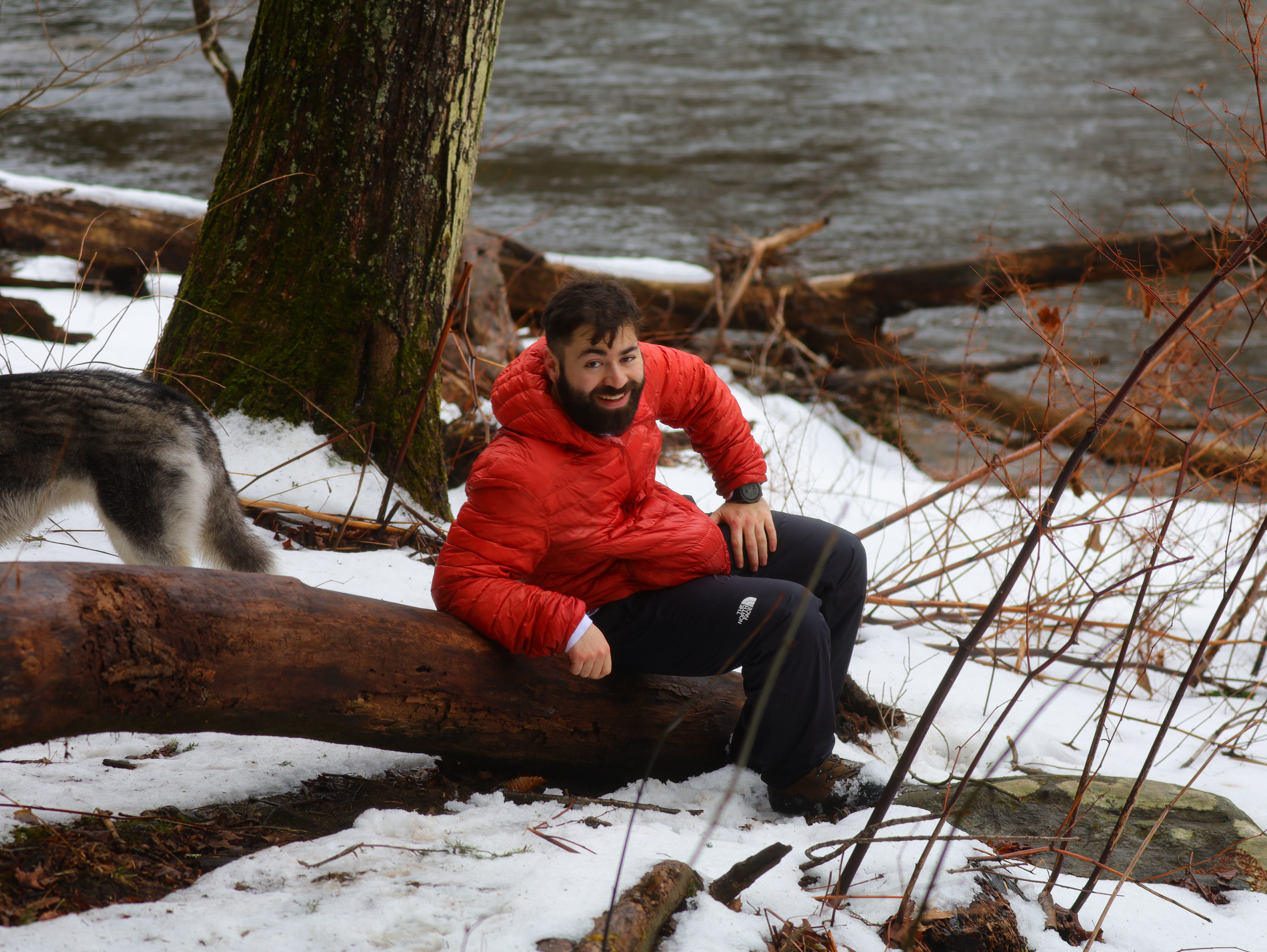 Just a man and his dog, sittin on a log.